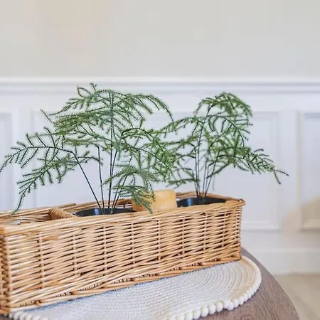 Cocon Refait A Neuf *